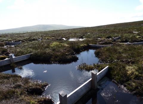 Timber sediment traps in place on Cray Moss.