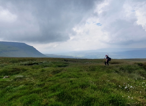 YPP staff surveying peatlands, Ingleborough in the background beneath a glowering sky