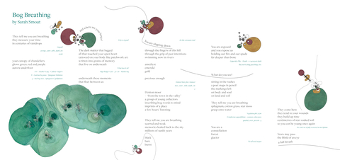 Sarah Smout's poem "Bog Breathing" illustrated with abstract picture of bog vegetation. There is an audio recording of the poem below this image
