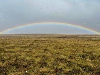 Bransdale rainbow