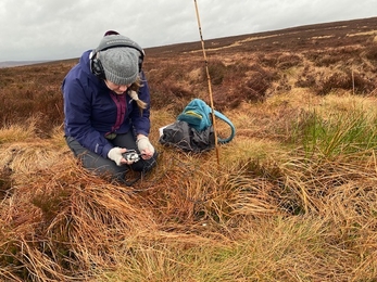 Sarah Smout, in heaphones, crouched in bog grasses recording sounds from within the peat