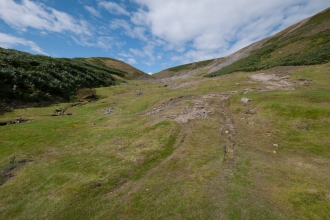 Calaminarian grassland