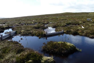 Image of Cray Moss sediment traps © Ceri Katz