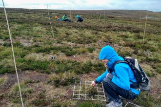 Image of volunteers conducting vegetation surveys © Dom Hinchley