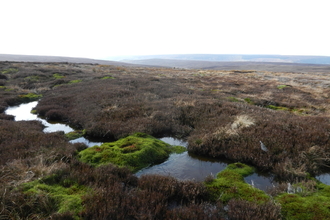 Peat dams blocking a grip.