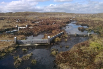 Image of timber dams on Cray Moss © Matt Cross