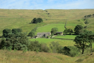 Image of Nethergill