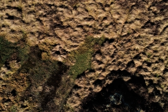 Image of sphagnum pool on Stake Moss filmed from the air