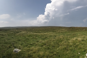 Cray Moss waiting for a thunderstorm.