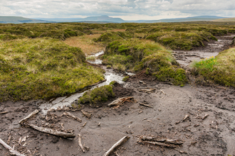 Peatland at Fleet Moss with Ingleborough in the distance