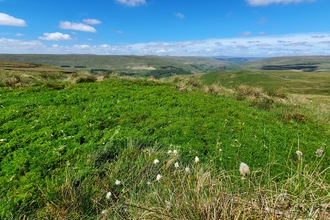 Image of bog pool on Buckden Pike © Beth Thomas