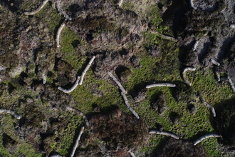 Aerial view of peatland restoration in Nidderdale