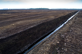 Expanse of peatland habitat scoured of life following commercial extraction