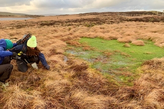 Two individuals crouched next to a bog pool, identifying vegetation