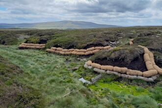 A double row of coir logs protecting a peat hag from erosion