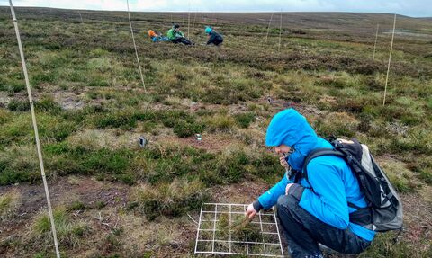 Image of volunteers conducting vegetation surveys © Dom Hinchley