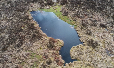 Aerial view of bog pool on Bishopdale.