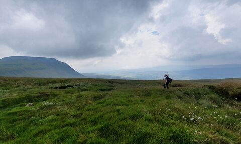 YPP staff surveying peatlands, Ingleborough in the background beneath a glowering sky