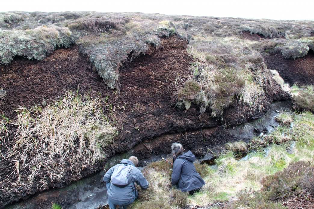 Why restore peatlands? Yorkshire Peat Partnership