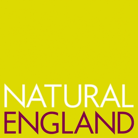 Image of Natural England logo