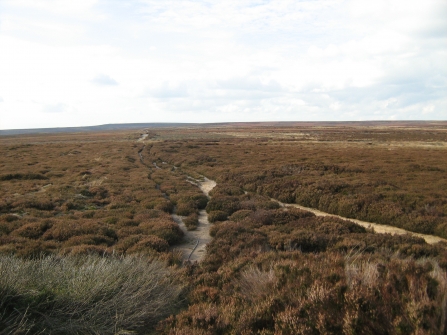 Footpath across Glaisedale © Peter Christopherson