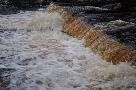 River Swale © John Skeffington