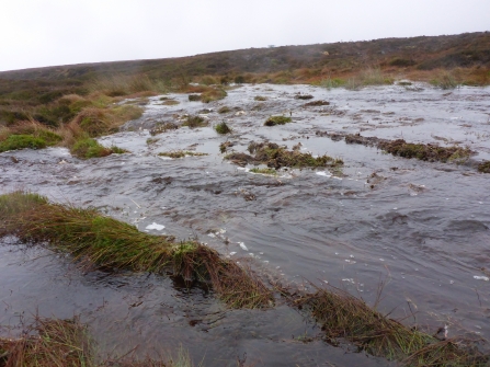 Water flashing across the moors in heavy rain.