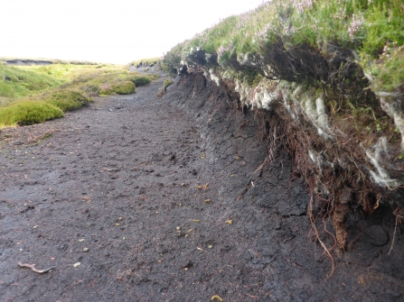 Image of sheep erosion damage © Jenny Sharman