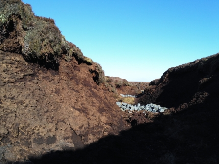 Gully dammed with stone sediment trap on Stake Moss.