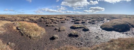 Panorama of bare peat erosion in Nidderdale.