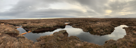 Panorama of East Gill showing timber dams holding back water.