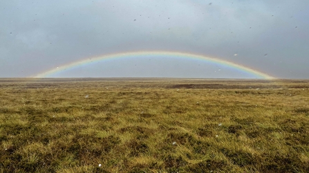 Bransdale rainbow