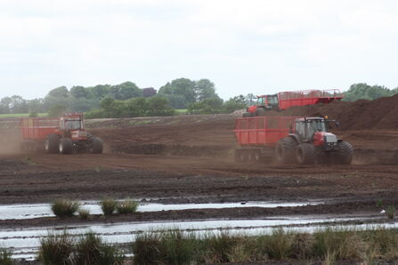 Tractors transporting peat to be turned into compost