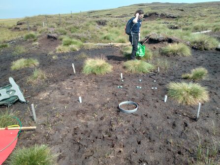 Setting out a plot to conduct greenhouse has monitoring
