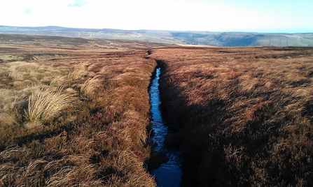 Drainage channel cut into moorland