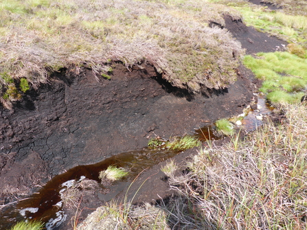 Peat hag along the side of a gully