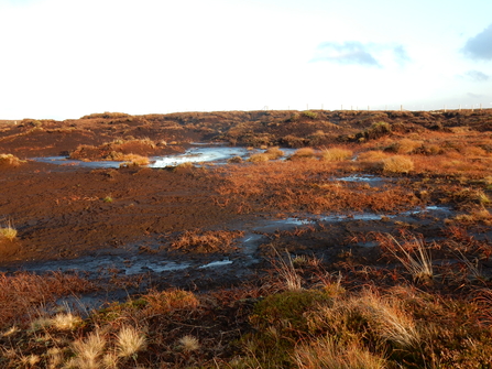 A large area of flat, bare peat - there is very little vegetation