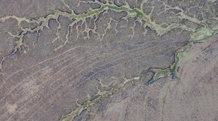 Aerial view of drainage channels dug into upland peatlands