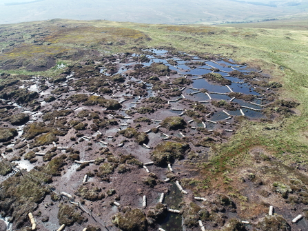Aerial shot of coir logs forming bunds on areas of bare peat