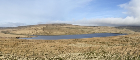 Angram reservoir surrounded by peatland