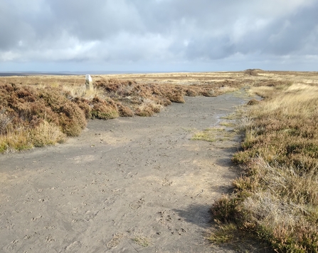 Eroding footpath spreading across peatland on the North York Moors