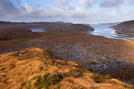 View from a sunlit hil looking out over bog pools on Laxford Mire and out to Loch Laxford