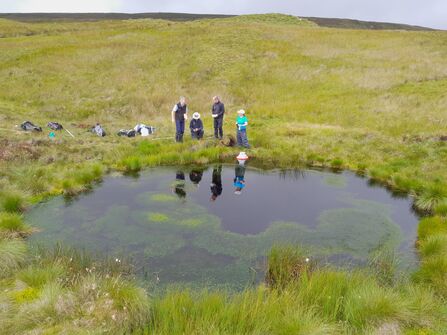 Bogged down in carbon: adventures in peatland pools | Yorkshire Peat ...