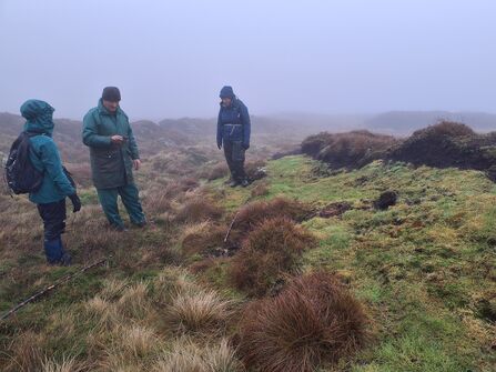 Three people on a foggy moor looking at grass growing through wool fleece laid over a peat hag