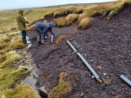 A steep slope of bare peat (a hag) set with sediment traps made from drainpipe
