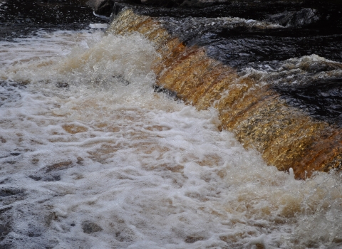 Image of River Swale in speight © John Skeffington