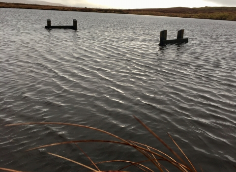Image of pool formed behind timber dam on Cray Moss © Lyndon Marquis