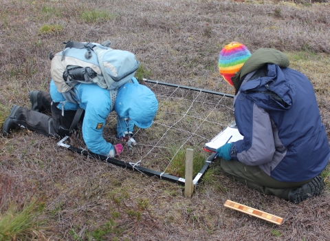 Image of vegetation monitoring on peatland © Andreas Heinemeyer