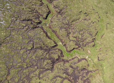 Image of dendritic gully system taken by Unmanned Aerial Vehicle