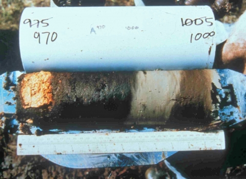 Peat core © Rob Stoneman